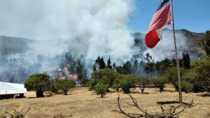 Irresponsable: Hombre que hizo asado provocó incendio forestal en Pumanque