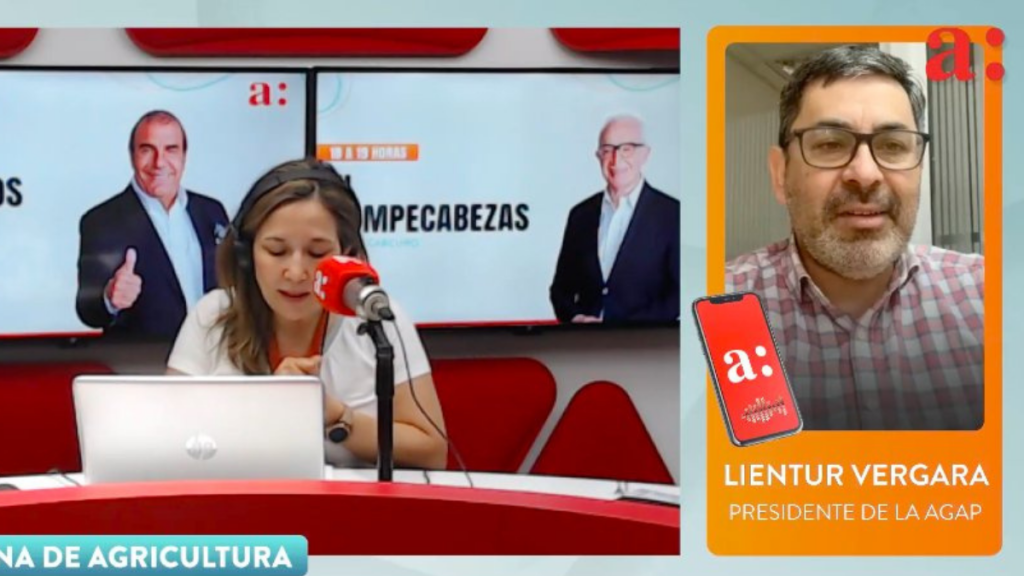 Agap por reforma previsional: “Es un cambio de modelo más que una reforma al sistema de pensiones”