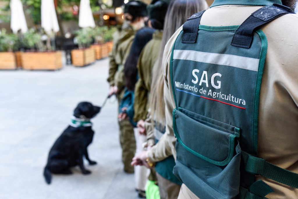 Trabajadores del SAG inician paro de actividades en paso fronterizo Los Libertadores: Acusan falta de personal