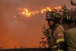 Incendios en zona sur han consumido más de 8.000 hectáreas