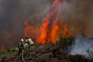 Senapred decretó Alerta Roja para la comuna de Quirihue por un incendio forestal cercano a viviendas