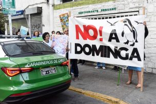 Proyecto Dominga fue rechazado por el comité de ministros