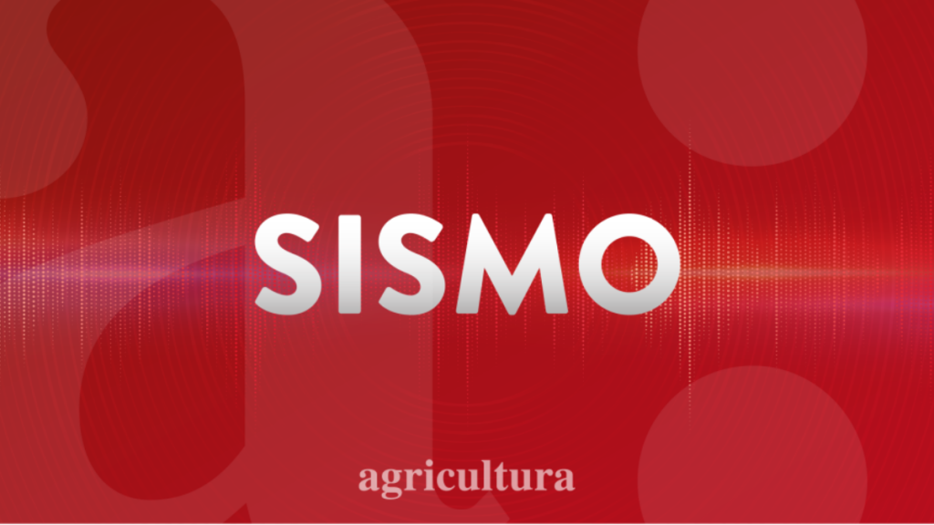 Temblor 6,4 se registra en el sur del país