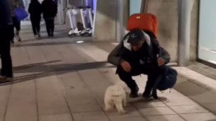 “Reencuentro con mi papi humano”: Hombre vio nuevamente a su perro después de varios meses