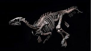Megaraptores gigantes dominaban la Patagonia antes de la gran extinción