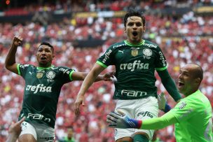 Palmeiras se impone en un frenético partido al Flamengo y es el supercampeón de Brasil