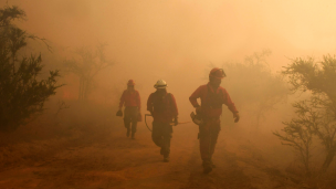 Declaran Alerta Roja en San Javier por incendio forestal cercano a viviendas