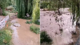 Alerta Amarilla para la provincia de Los Andes: Al menos ocho casas dañadas por aluviones