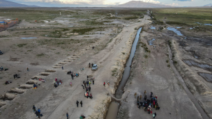 Experto en política migratoria: 