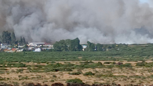 Senapred ordena evacuar sector de Puerto Montt por incendio forestal