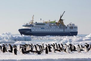 Crucero regala expedición para conocer la Antártica: 5 noches todo incluido