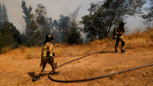 Senapred declara alerta roja para las comunas de Villa Alegre y Yerbas Buenas