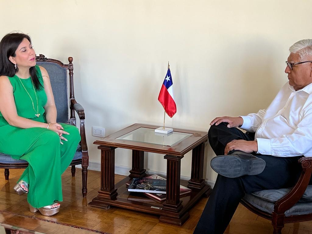 Diputada Astudillo pide a Defensa mayor seguridad en la macrozona norte: “Nos están matando a diario”