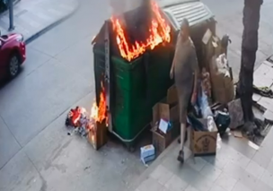 Carabineros detiene a sujeto que comenzó incendio en basurero en Viña del Mar