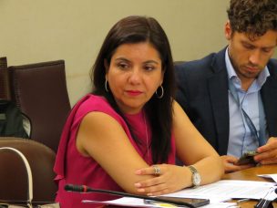 Danisa Astudillo pide mayor inteligencia militar y policial en el norte ante eventual llegada de 