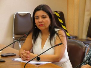 Diputada Astudillo pide intervención de FFAA para enfrentar a bandas criminales internacionales