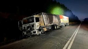 La Araucanía: Encapuchados armados incendian en camión ruta Traiguén-Los Sauces