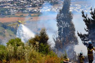 Irresponsable: Hombre fue detenido tras ocasionar incendio forestal en Pitrufquén