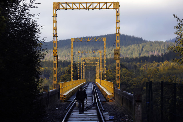 Puente Ferroviario sobre el Río Biobío volverá a operar a mediados de abril y su recuperación técnica será óptima y con altos niveles de seguridad