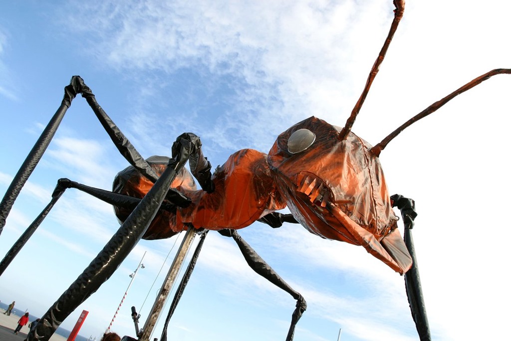 Los insectos gigantes aterrizan en regiones: ¿Dónde y cuándo ver “Insectes”?