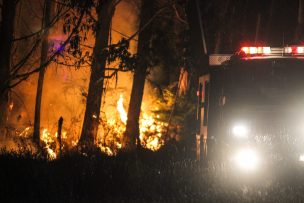 Senapred ordena evacuar dos sectores de Quillón por incendio forestal