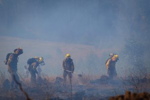 Confirman primera víctima fatal por incendios en Ñuble: Fallecida tenía 21 años