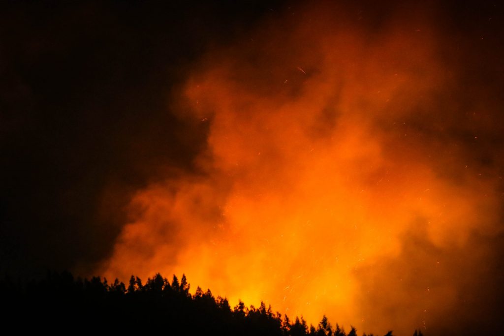 Senapred ordenó evacuar cuatro sectores de Portezuelo por incendio forestal