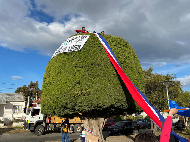 Intentan quemar el “árbol de Boric” en Punta Arenas