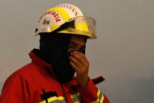 Declaran Alerta Roja para la comuna de Cauquenes por incendio forestal: hay 150 hectáreas afectadas