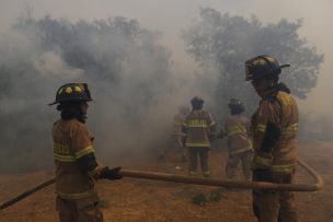 Senapred entrega balance sobre incendios forestales: hay 39 que están en combate