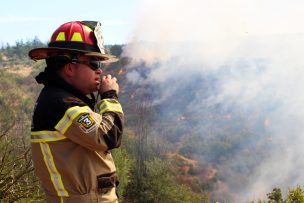 Por incendios forestales: Cancelan Alerta Amarilla y declaran Alerta Roja para la región de Ñuble