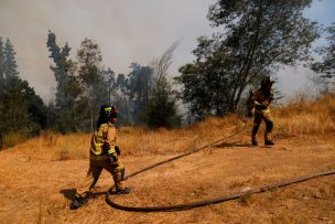 Declaran Alerta Roja para Arauco por incendio forestal: 