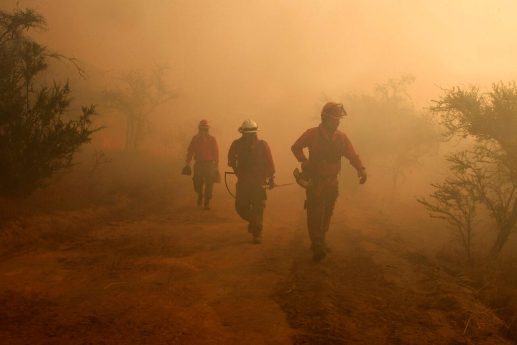 Rolando Pardo de CONAF llama al actuar responsable: “Hemos encontrado gente que va a los incendios para verlos”