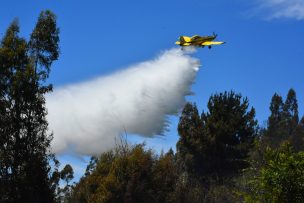 Senapred pide evacuar la población René Schneider de la comuna de Coelemu por incendio forestal