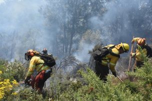 Decretan Alerta Roja para la comuna de Santa Juana por incendio forestal