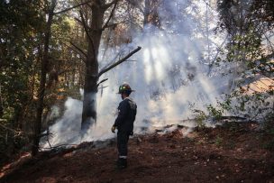 Minagri anuncia el cierre de parques y reservas nacionales por riesgo de incendios forestales