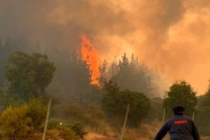 Declaran Alerta Roja para la comuna de Los Ángeles por incendio forestal: hay 15 hectáreas afectadas