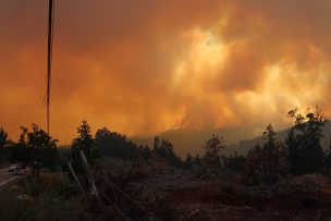 Incendios forestales: Senapred llama a evacuar sector Carirriñe, comuna de Cholchol