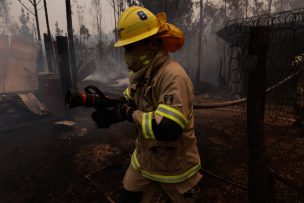 Senapred ordenó evacuar sector de El Mirador en Tomé por incendio forestal