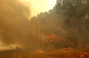 Santa Juana: El segundo incendio con más hectáreas consumidas según registros históricos de Conaf