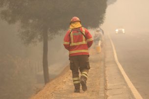 Incendio forestal obliga a interrumpir el tránsito en Ruta de la Madera