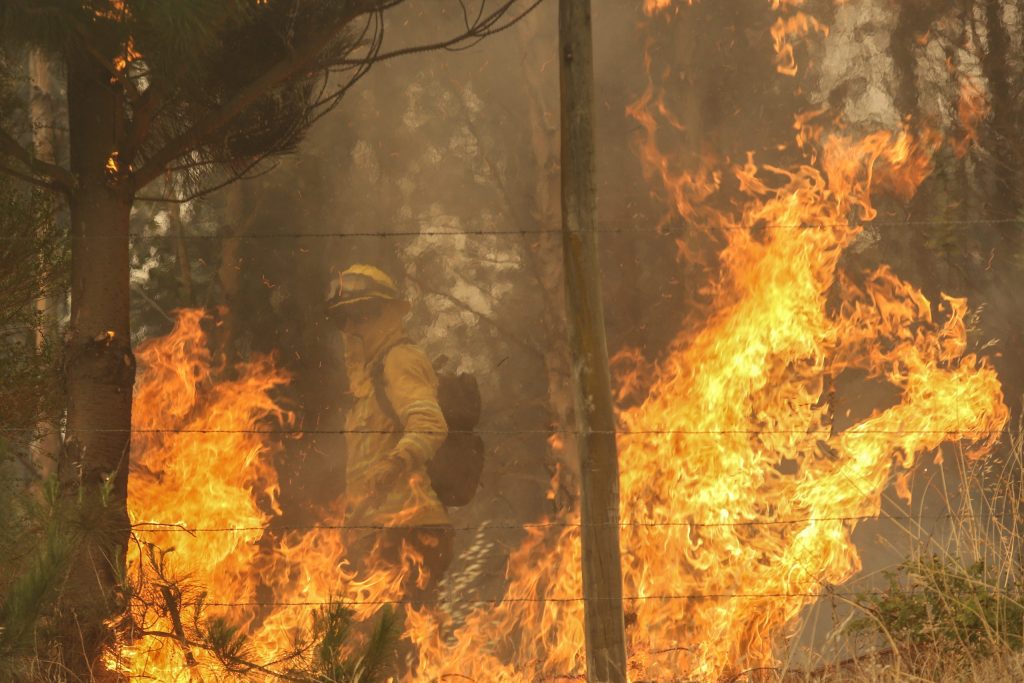 Fiscalía confirmó sexta víctima fatal a causa de los incendios en Región de La Araucanía