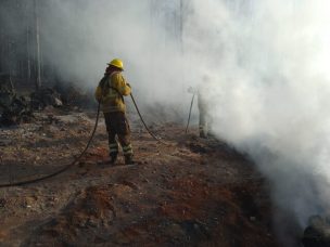 Alcalde de Lumaco denuncia personas en moto prendiendo incendios en la comuna