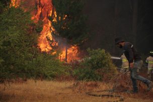 Carabineros ha detenido 15 personas por la presunta intencionalidad de incendios forestales