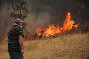 CMPC dona más de 100 mil artículos de higiene personal para las familias afectadas por incendios forestales