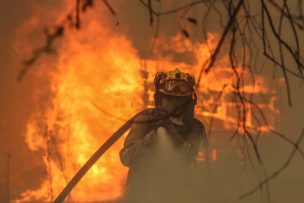 Ministra Tohá: 25% de los incendios han sido intencionales