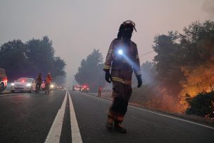 Senapred ordenó evacuar sector Redolino en comuna de Hualqui por incendio forestal