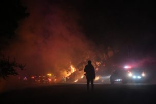 Se han detenido 40 personas por su presunta responsabilidad en incendios