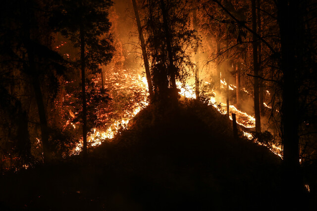Gobernador de La Araucanía: “La única forma de poder enfrentar los incendios forestales es sacar esta gente de circulación”