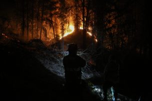 Balance de Senapred: Incendios forestales en combate se reducen a 18 y 21 fueron extinguidos